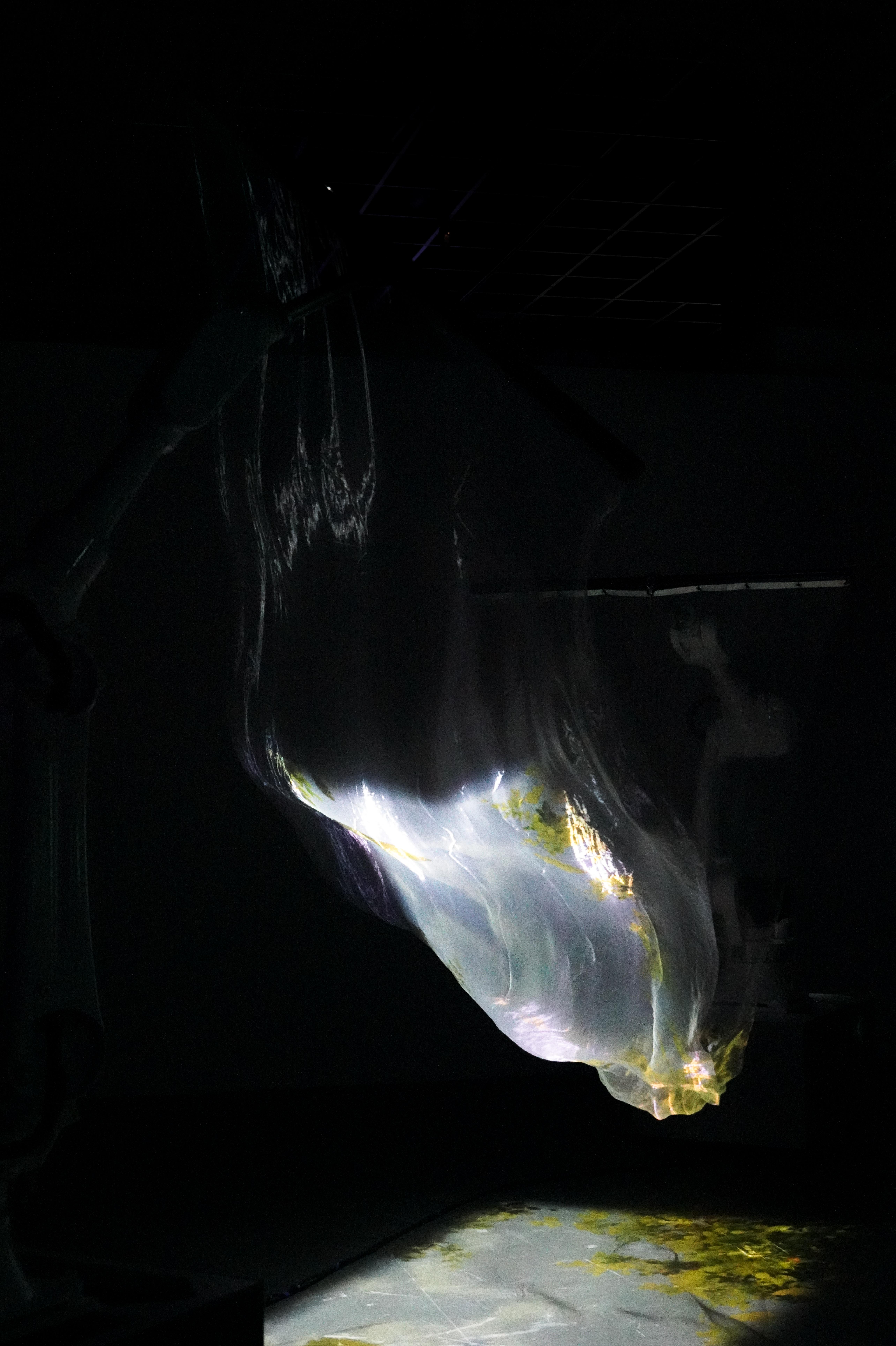 Airy image 5