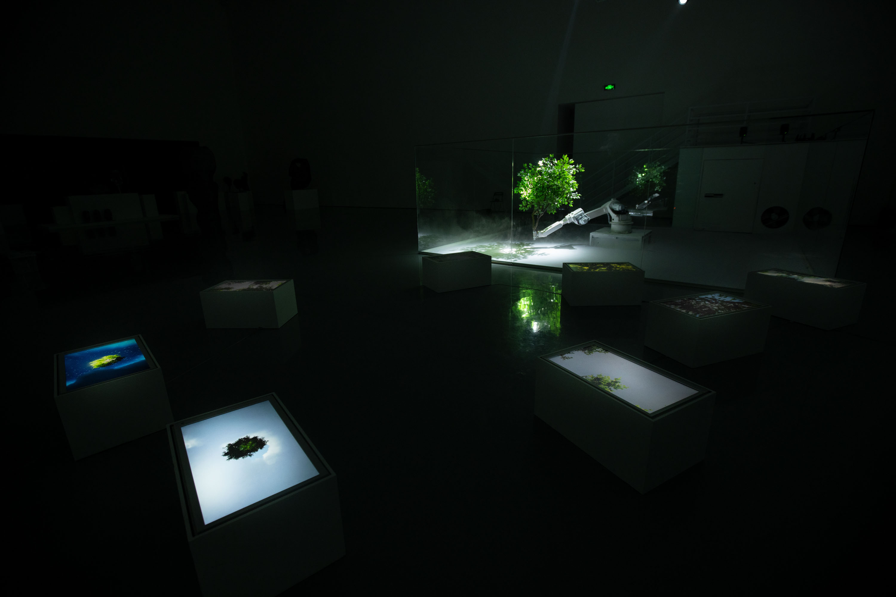 Forest Theorem One image 12
