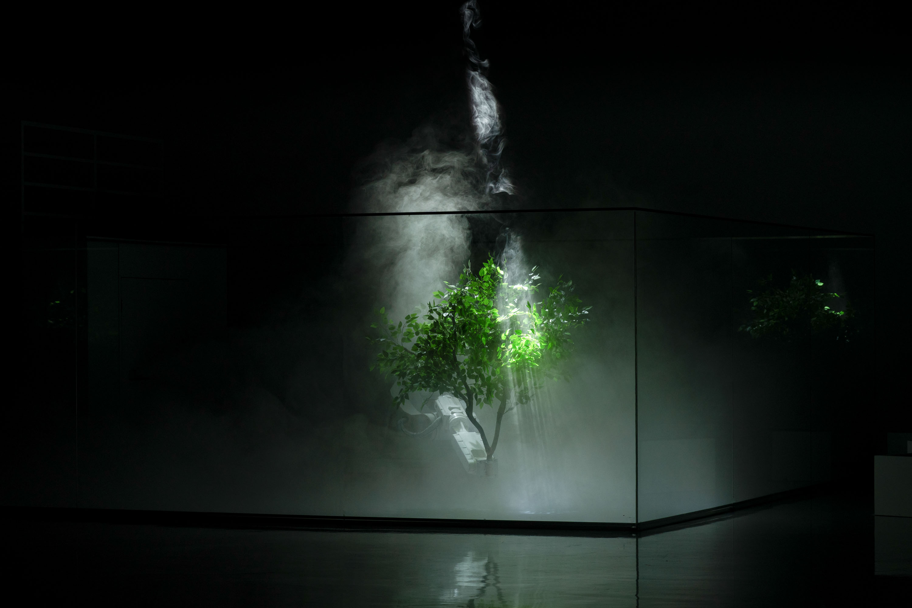 Forest Theorem One image 1