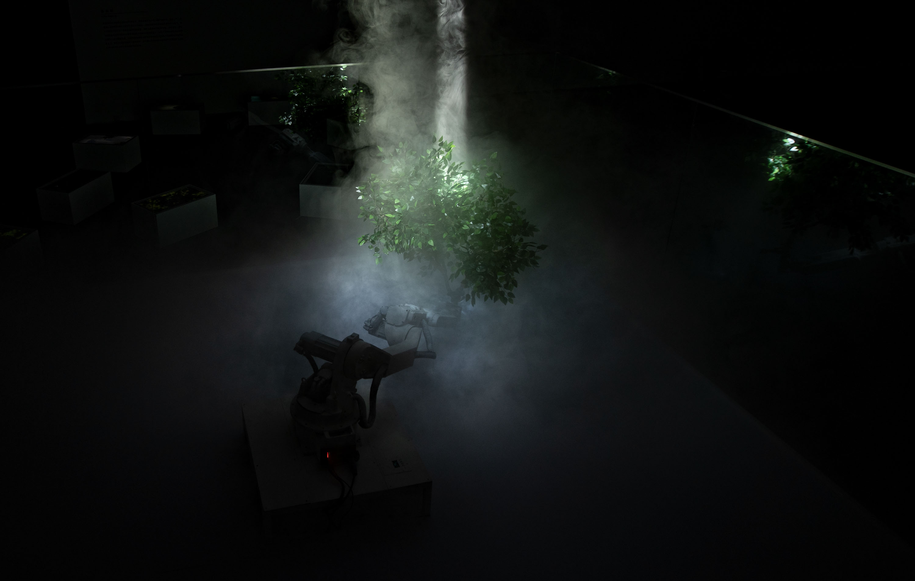 Forest Theorem One image 4