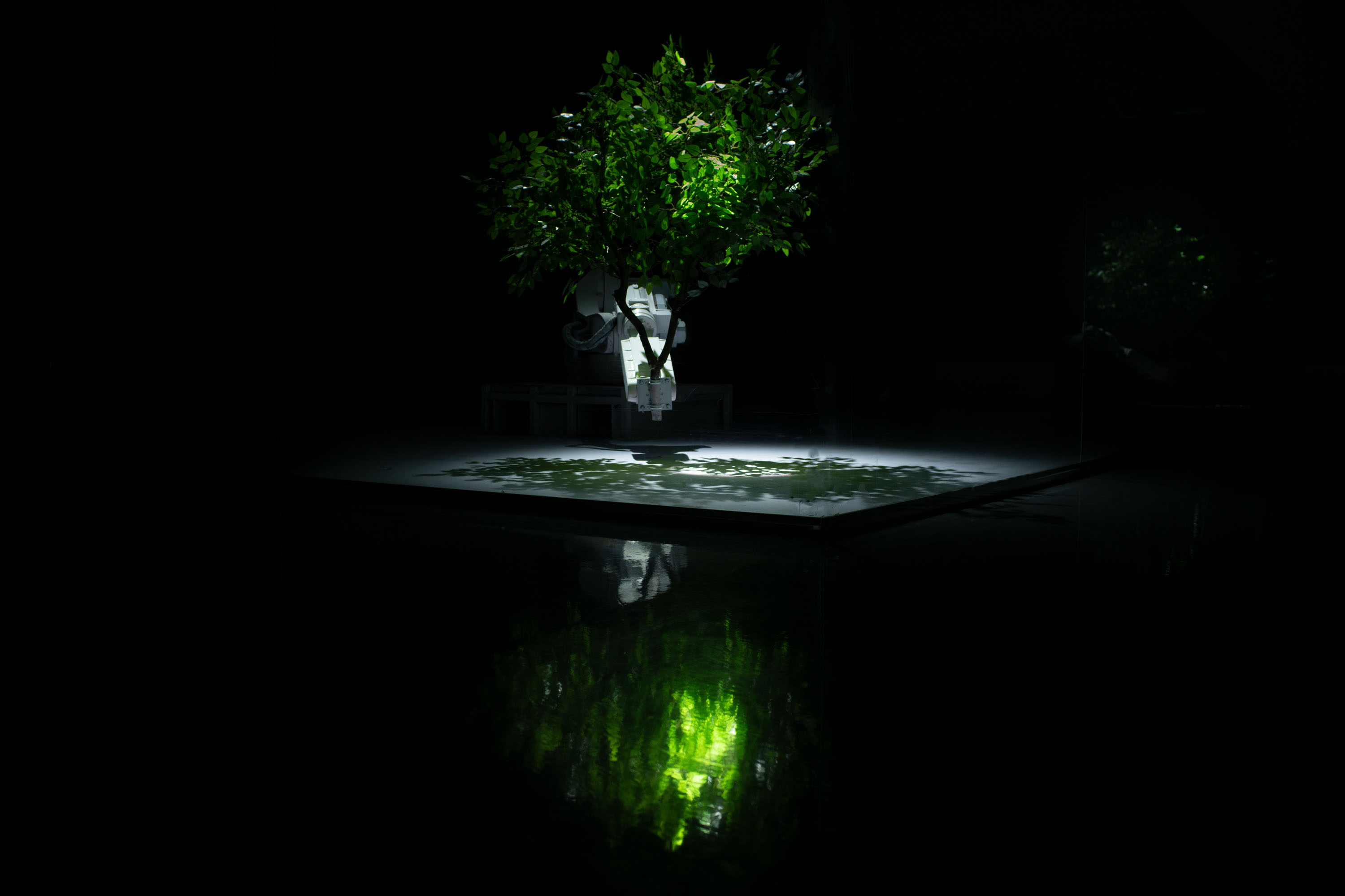 Forest Theorem One image 5