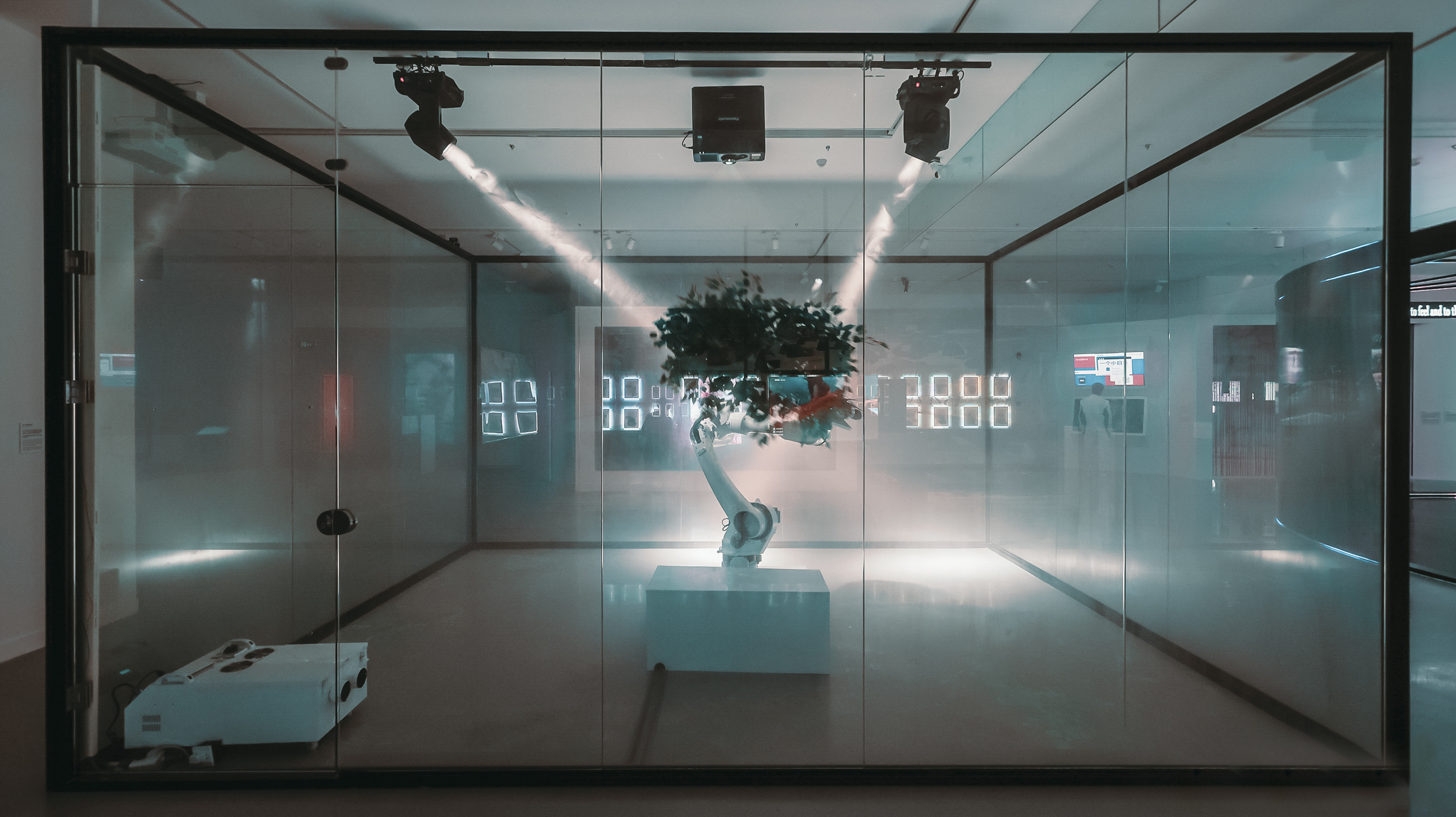 Forest Theorem One image 18