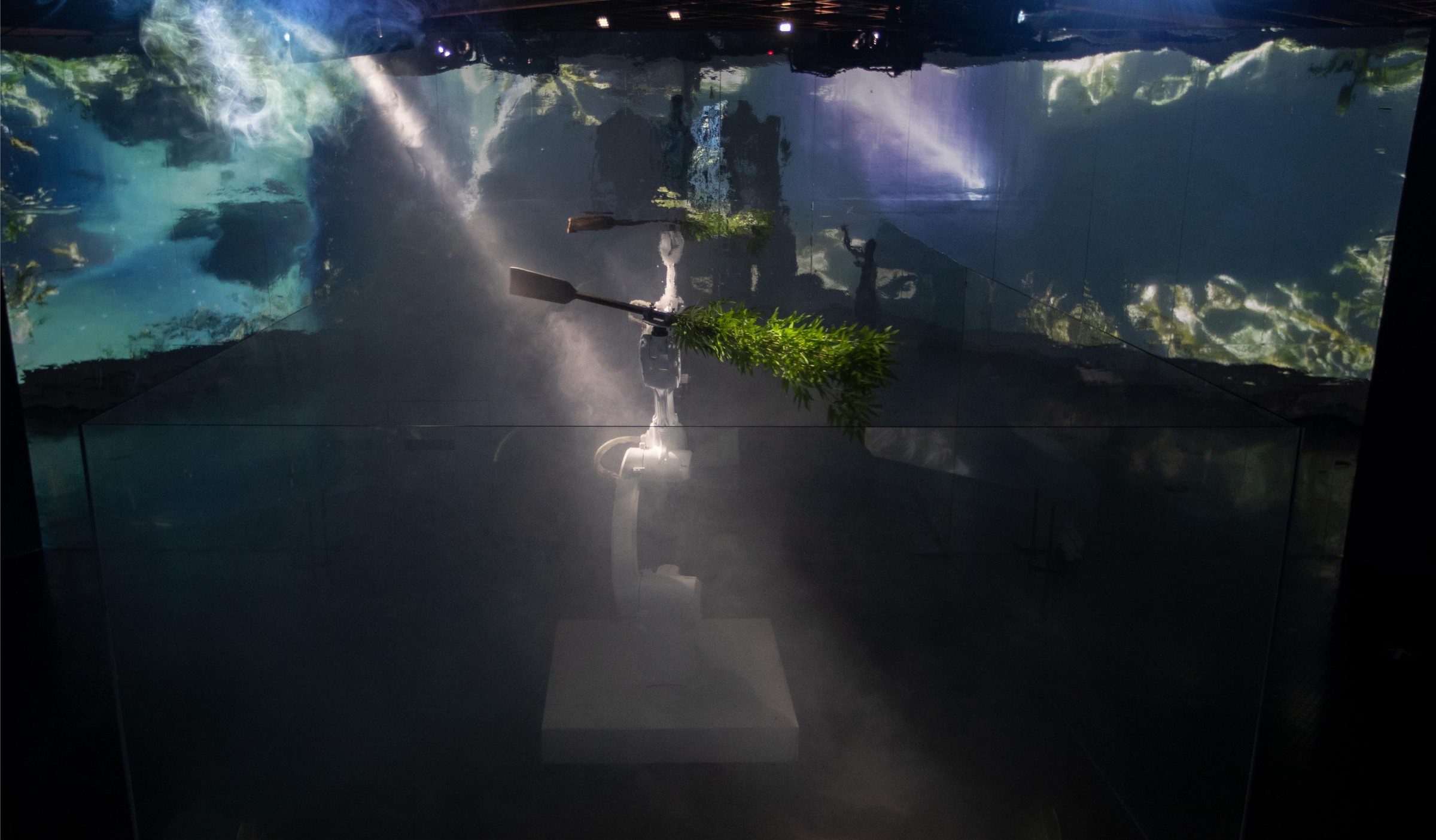 Forest Theorem One image 8