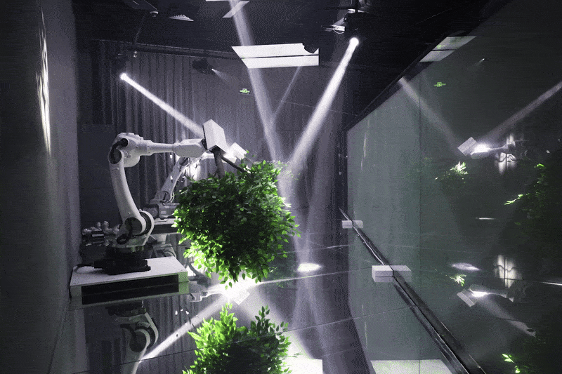 Symbiosis of Agents image 2